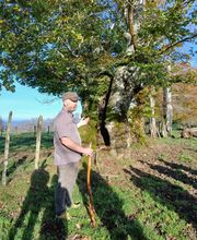 Thomas Romuald image 8