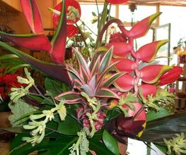 AU GRE DES FLEURS image 12