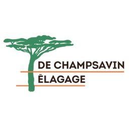 DE CHAMPSAVIN ELAGAGE