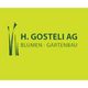 H. Gosteli AG