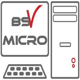 BSV Micro