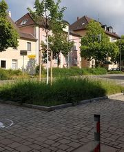 Pauckner Björn Dr. Bild 2