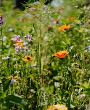 Karin Geisselhardt Psychotherapie GmbH Bild 1