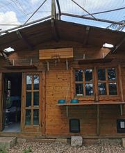 Les Moustaches en Vacances image 2