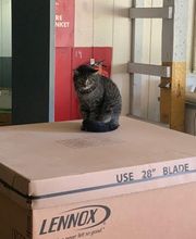 Air Specialties Heating & Cooling image 4