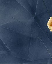 Malerbetrieb - Koberzin e.K Bild 1