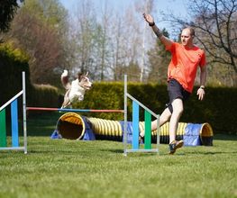 Dogs Adventure GmbH Bild 2