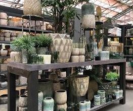 Intratuin Hendrik Ido Ambacht afbeelding 18