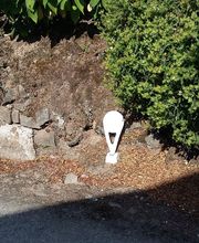 Area SARL image 4