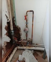 EI Geloen David image 11