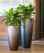 Plantyworks GmbH Bild 2