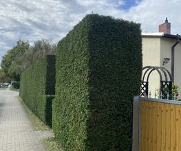 IMG_7289.JPEG