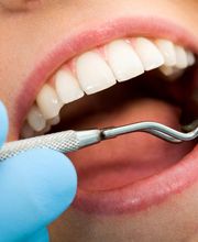 Dr. med. dent. Markus Netzband