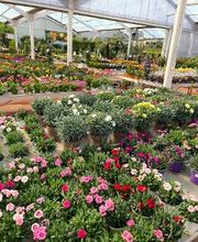 Villaverde Grimaud image 4