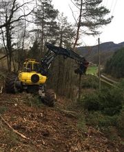 Gebrüder Straumann AG Bild 8