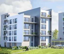 Cosaxe 3D image 2