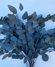 NATURA - FIORI SECCHI PAPA immagine 6