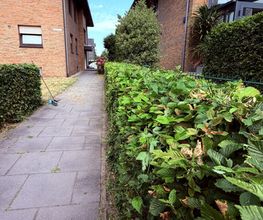 IMG_1202.jpeg