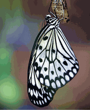 lebensfreudig.ch Bild 5