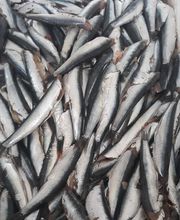 Paellas de Castilla imagen 19