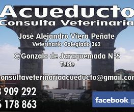 222043689-1-3g2Wj5stve1540039613376.jpeg