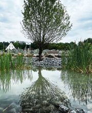 NKA Natursteinkontor Allagen Bild 7