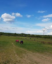 LES ECURIES DE SOBIDAIN image 4