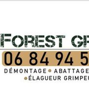 Forest Grimp image 8