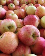 Bernard Sabatier EARL image 1