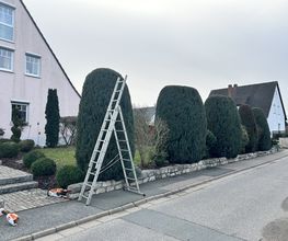 Gartenservice Mark Miess Bild 23