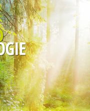 Praxis für Komplementärmedizin Bild 4