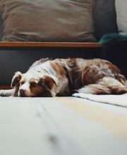 747 Studios GmbH Bild 2