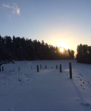 Ferme-Restaurant Pierreberg Bild 2