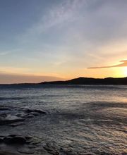 Wisler Brigitte image 7