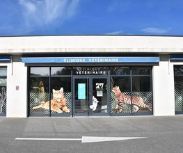 Riviera Vet image 19
