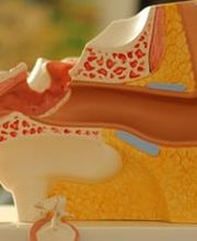 Praxis für Logopädie in Moosach, Stefanie Schulz Bild 2