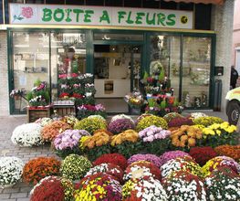 AM Déco Fleurs image 12