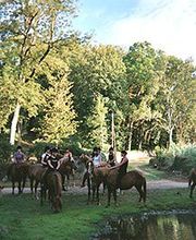Poney-Club Prunevaux image 1