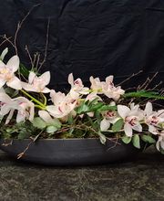 Der Blumenladen Romana Gattermann GmbH Bild 12