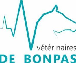 Vétérinaires De Bonpas image 7
