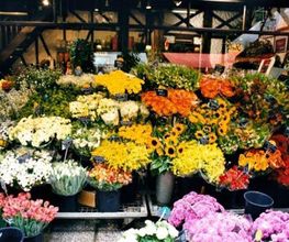 flores-abella-entrada-01.jpg