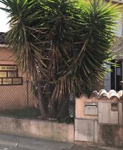 Meyer-Mazel Aurelie image 4