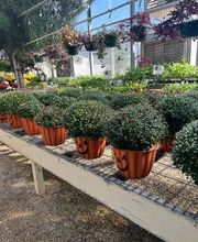 Johansen Landscape & Nursery image 14