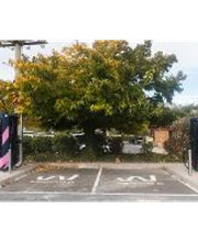 Wenea imagen 5