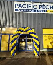 David Ballon Evolution image 14