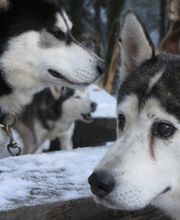 Turistikservice Bad Herrenalb Bild 1