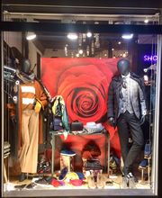 Show Rooms image 7