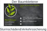 Baumpflege Dreyer Althoff logo