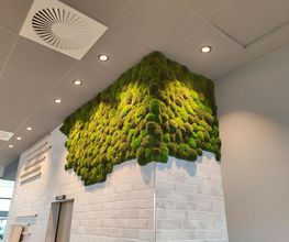 Franzen Moos Wanddesign Bild 9