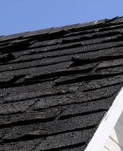 Wiss Christophe image 19